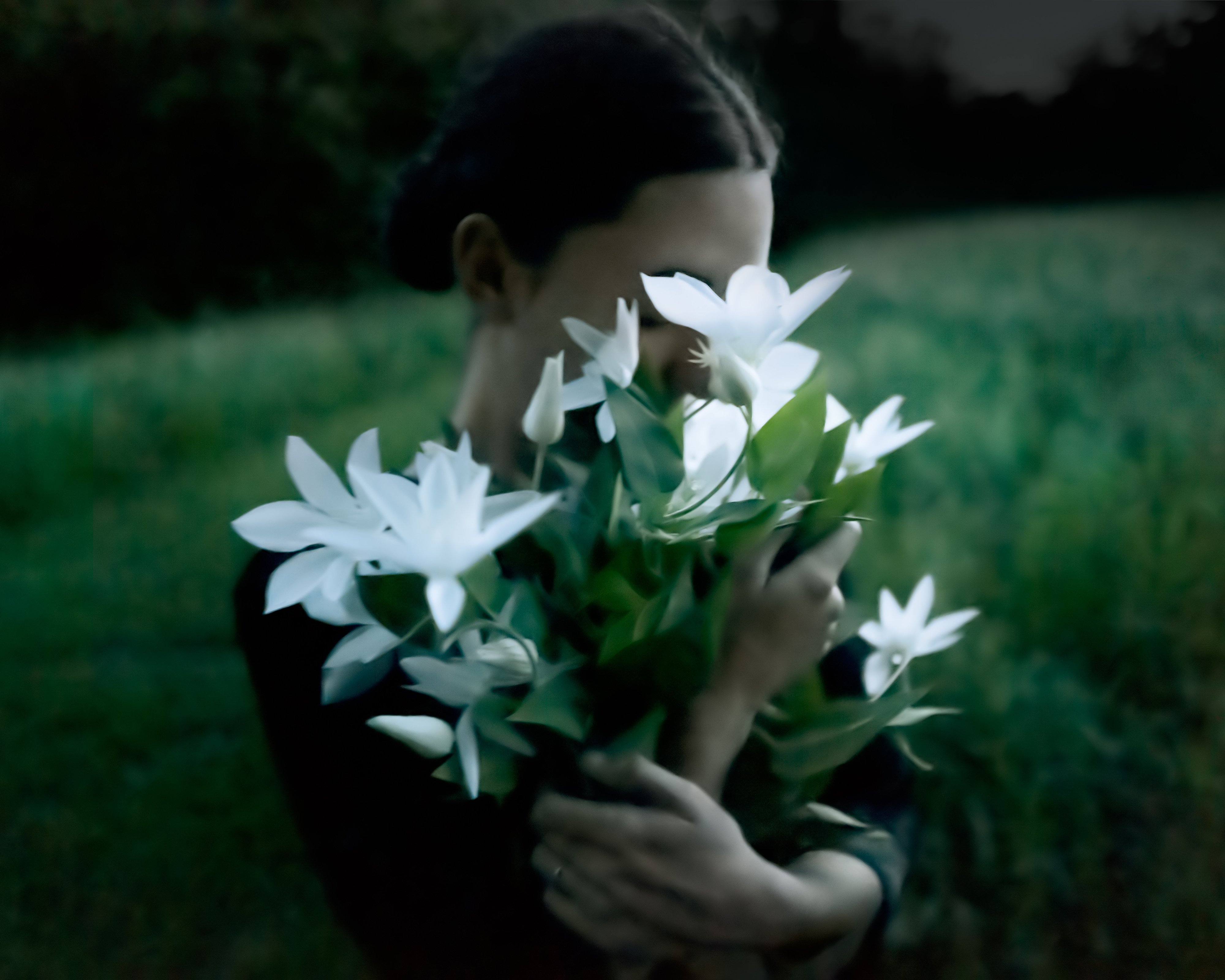 Clematis(EmilyClutching)CigHarvey-1