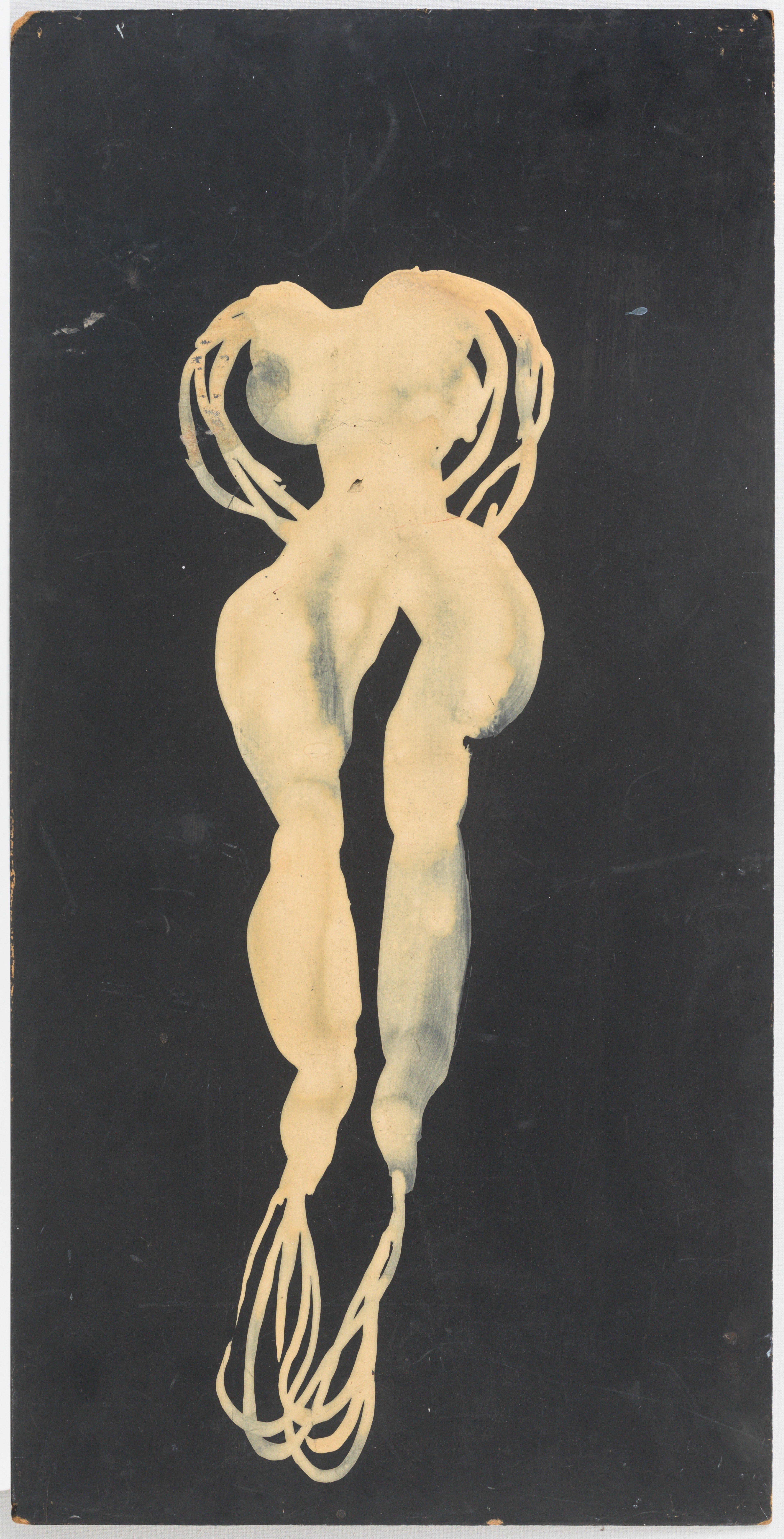 Page 76 19_Collective Behavior_The Feminine Space_Self-Rooted_A Slight and Pleasing Dislocation