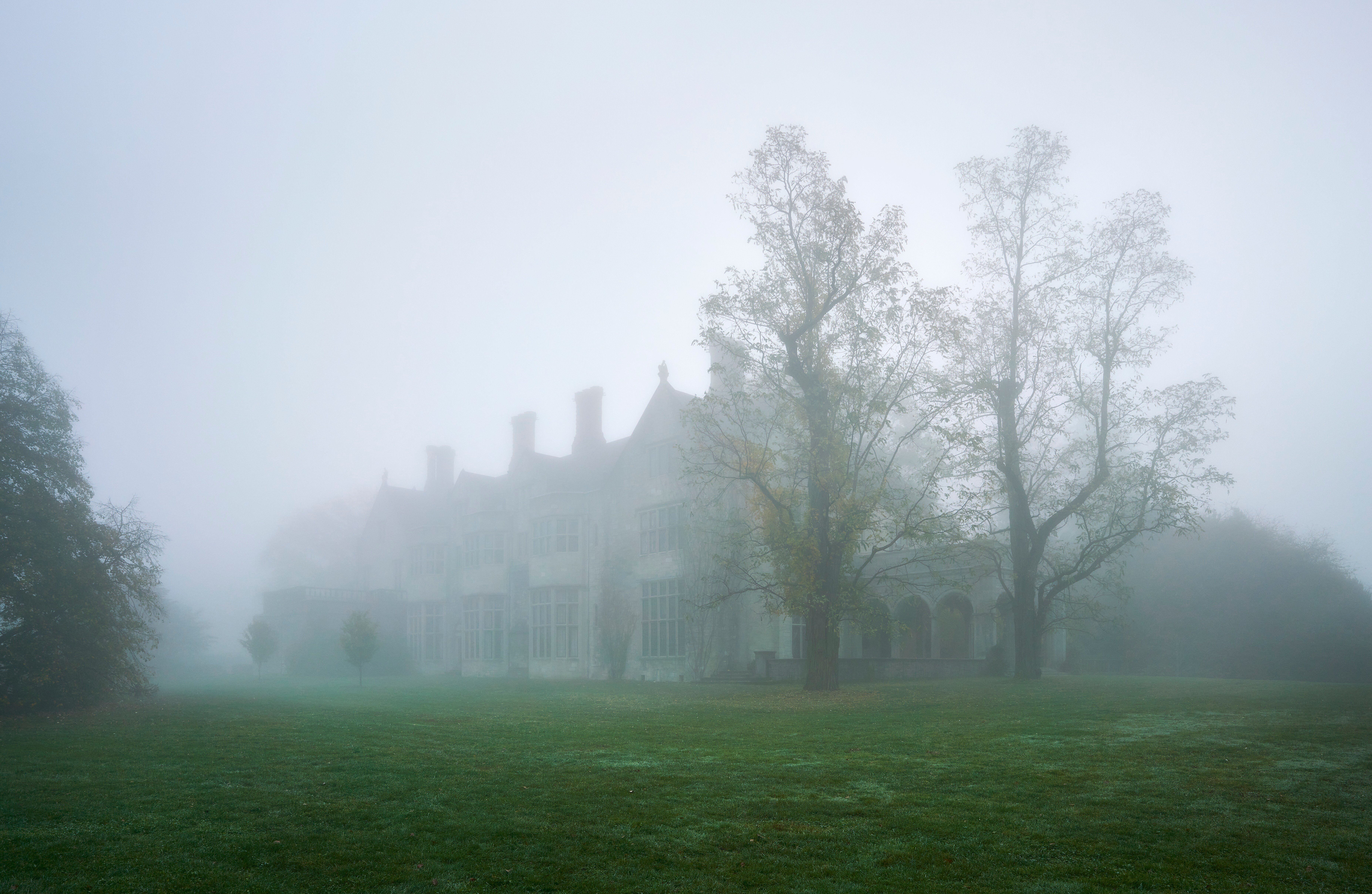 Planting Fields in Fog-1
