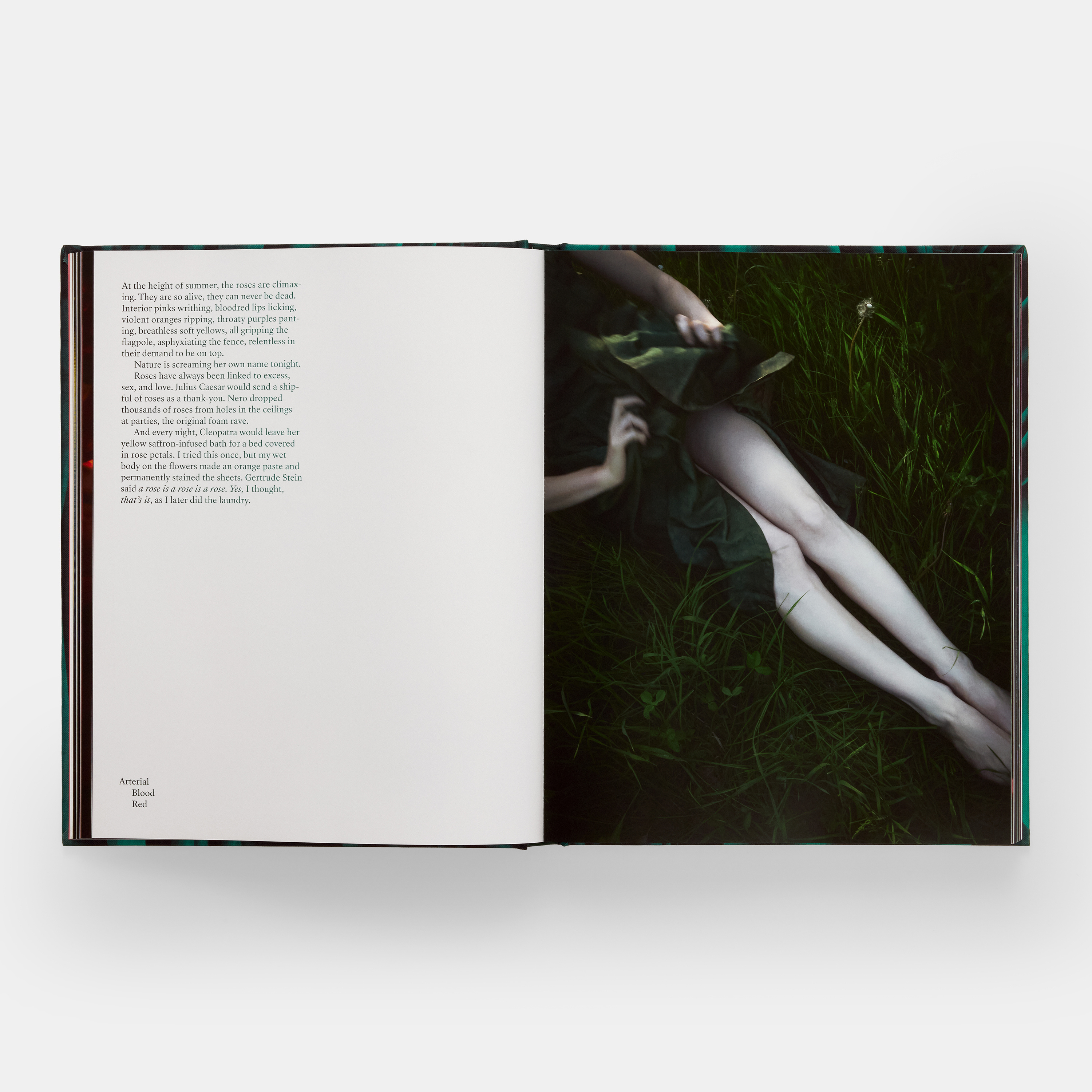 emerald-drifters-ae-3687-spread5-3000