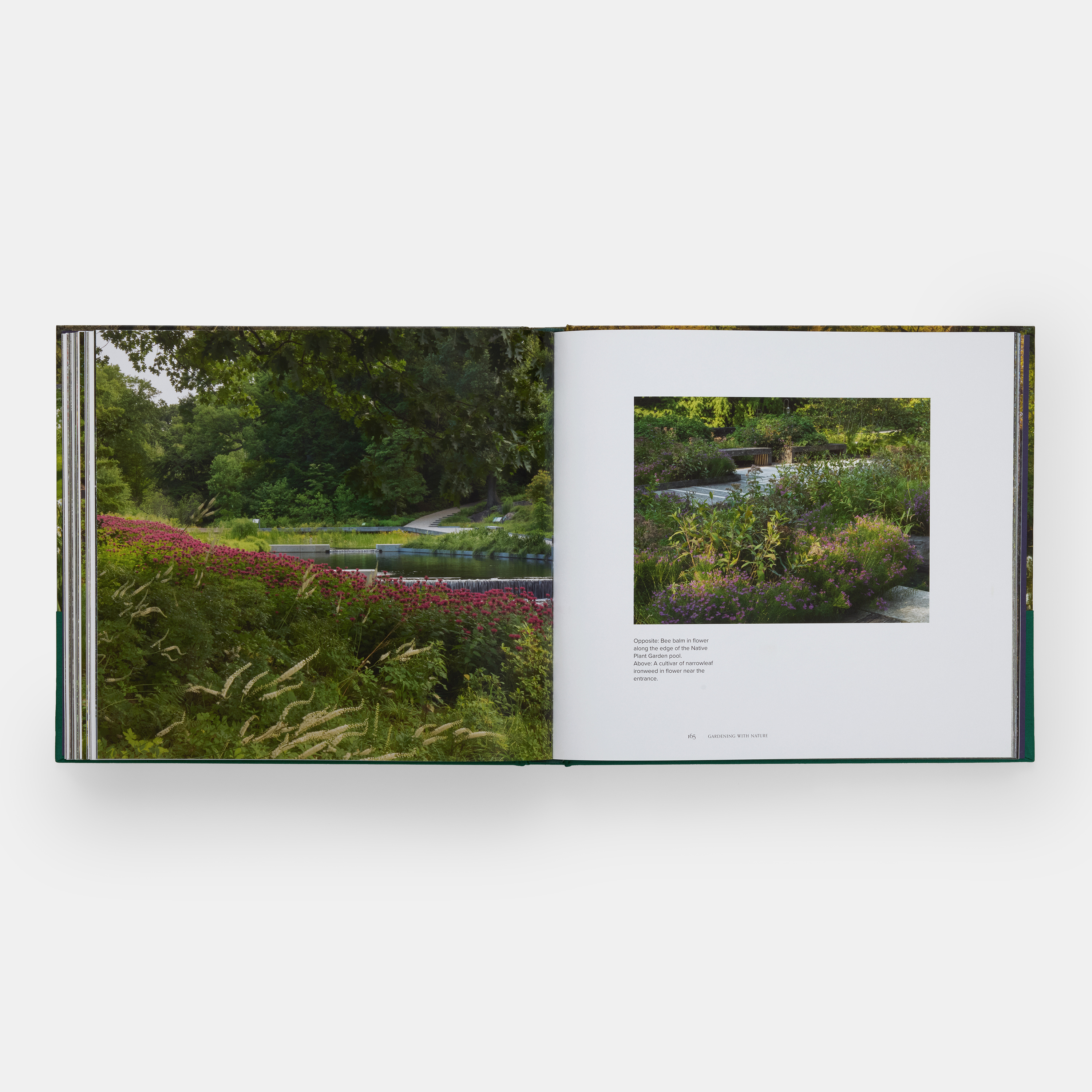 gardening-with-nature-ae-3627-pp165-166-3000