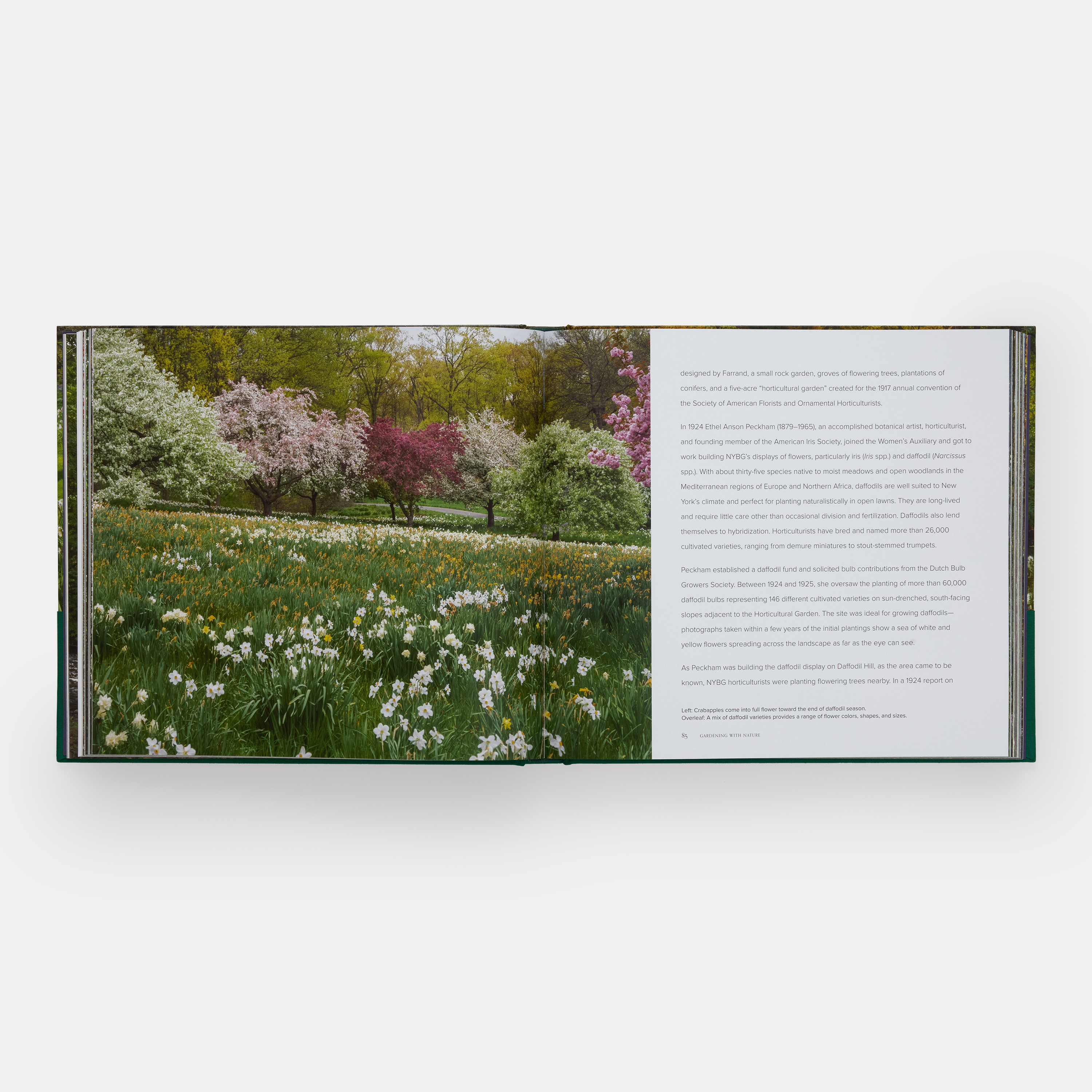 gardening-with-nature-ae-3627-pp84-85-3000