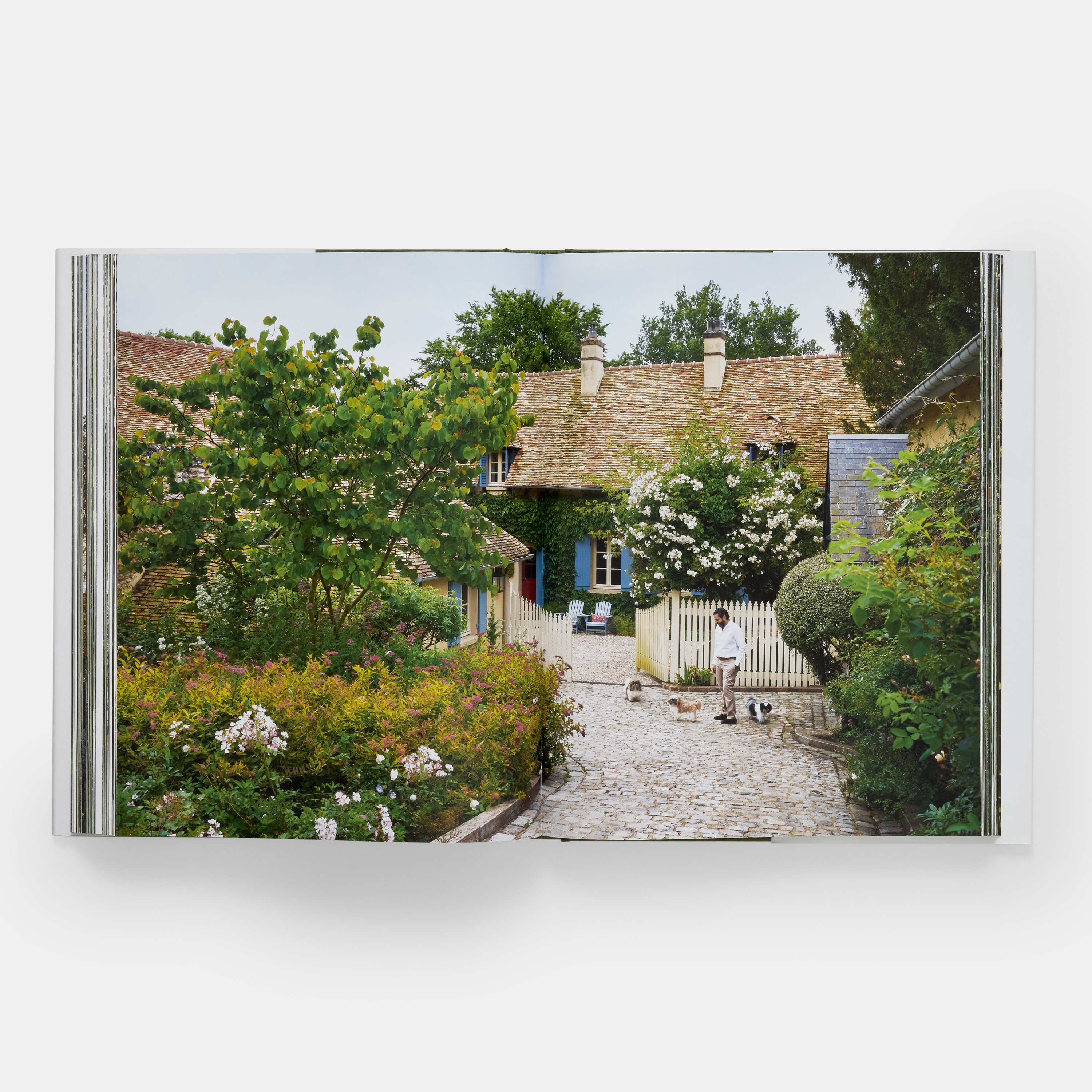 glorious-gardens-ae-3685-pp05-3000