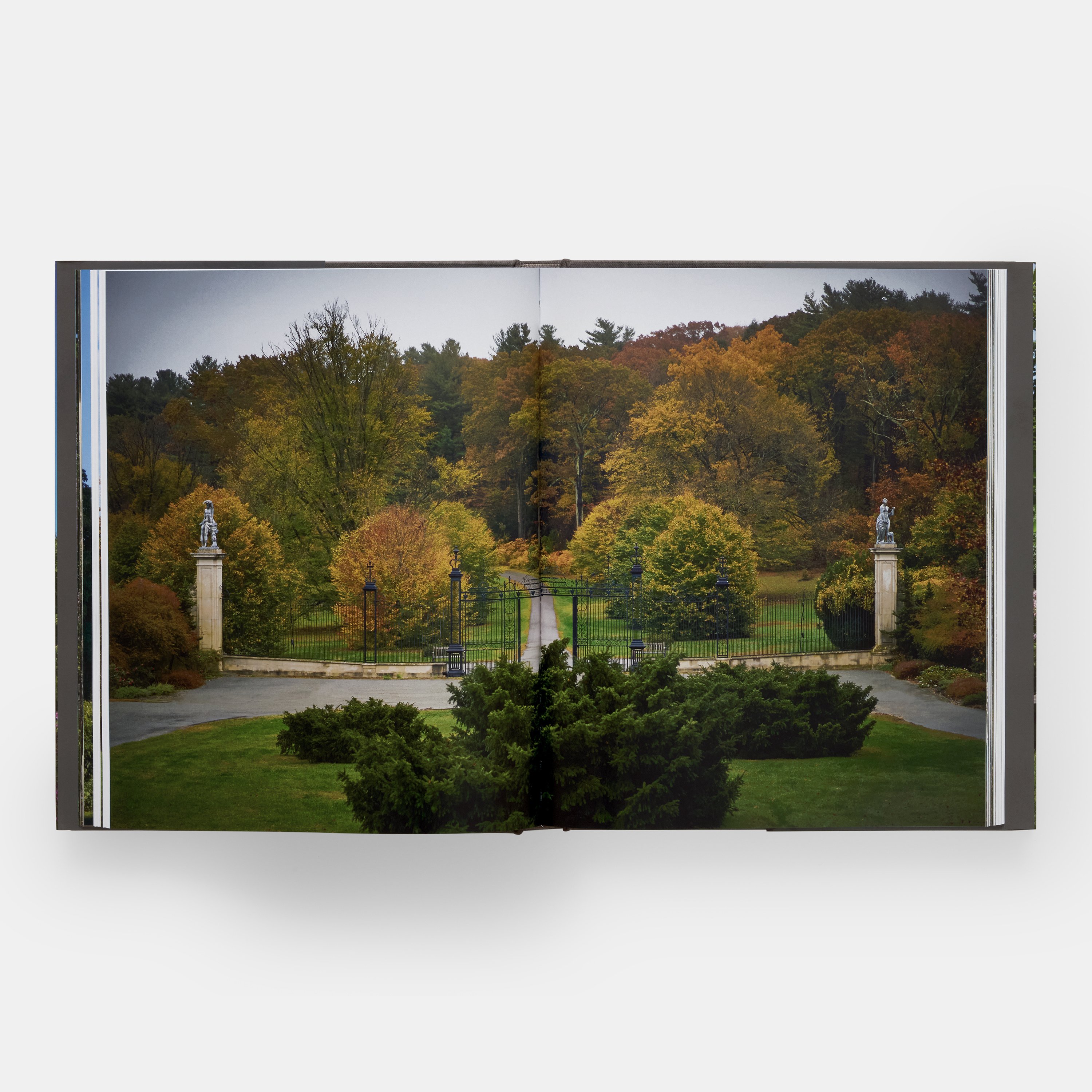 planting-fields-ae-3682-pp04-3000