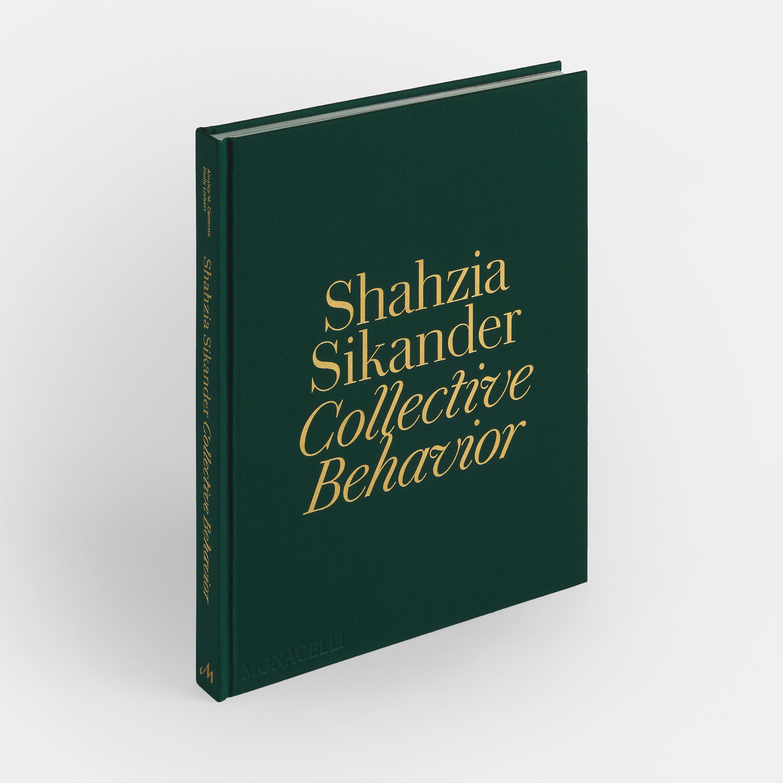 shazia-sikander-ae-3641-standing-front-3000