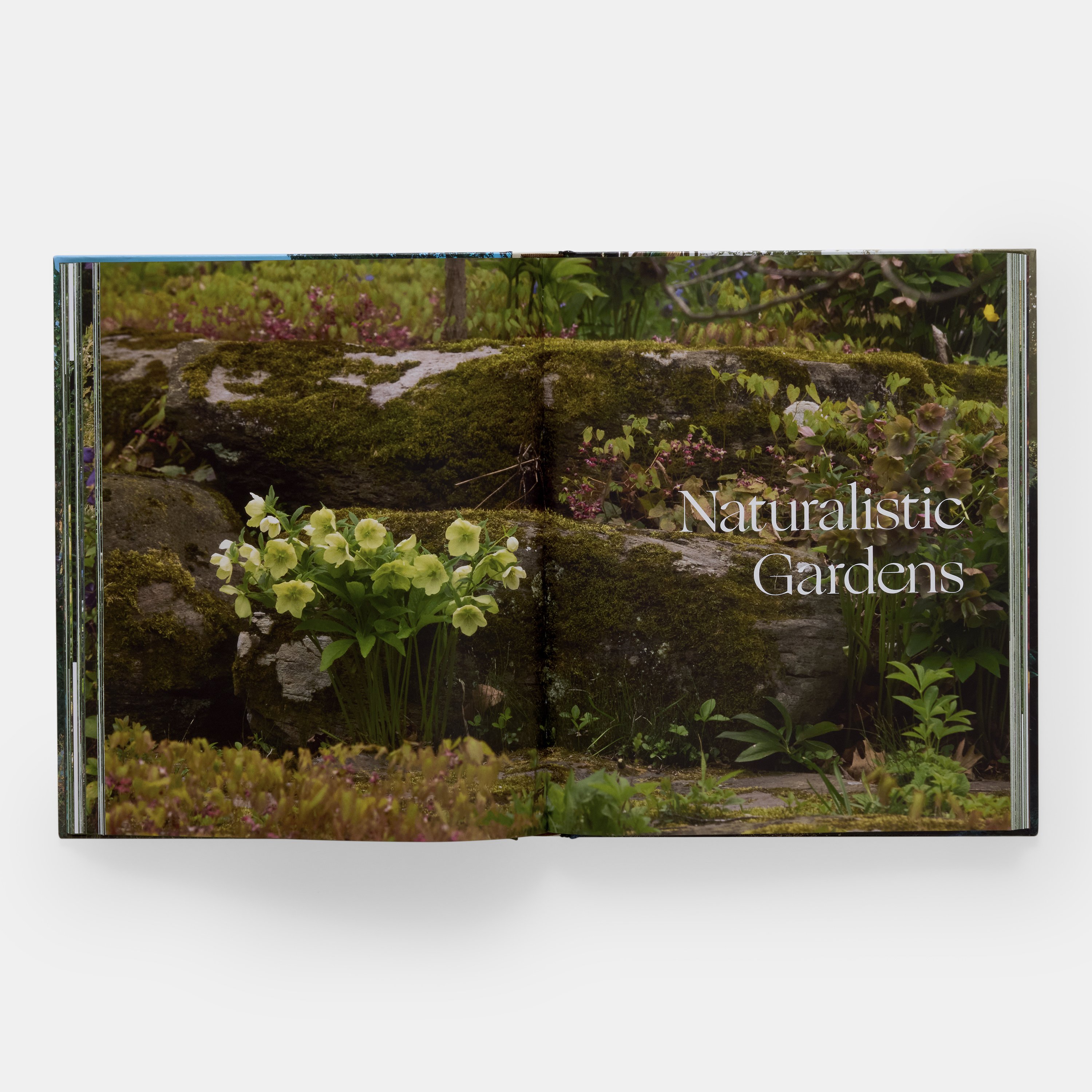 the-art-of-fine-gardening-ae-3691-pp116-117-3000