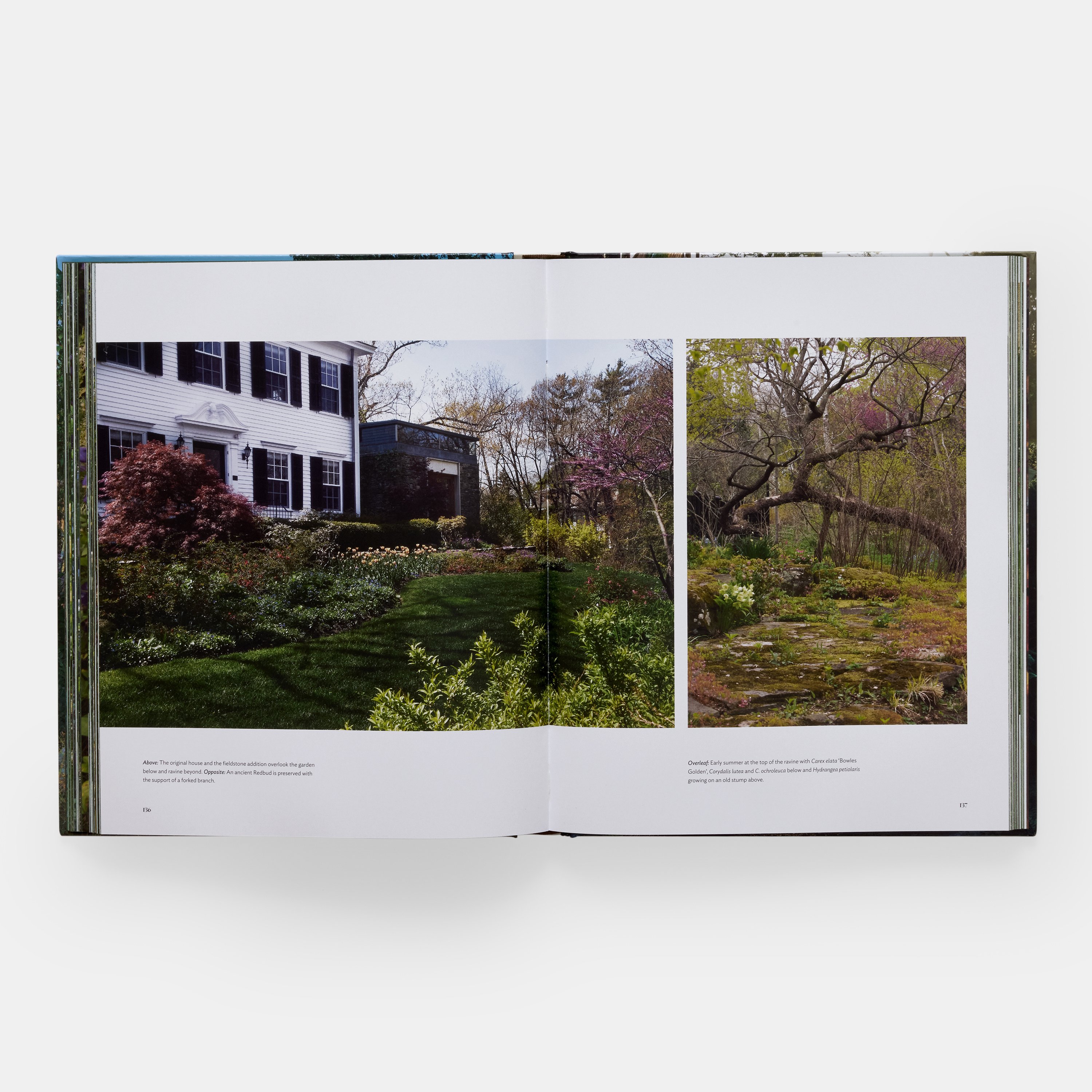 the-art-of-fine-gardening-ae-3691-pp136-137-3000