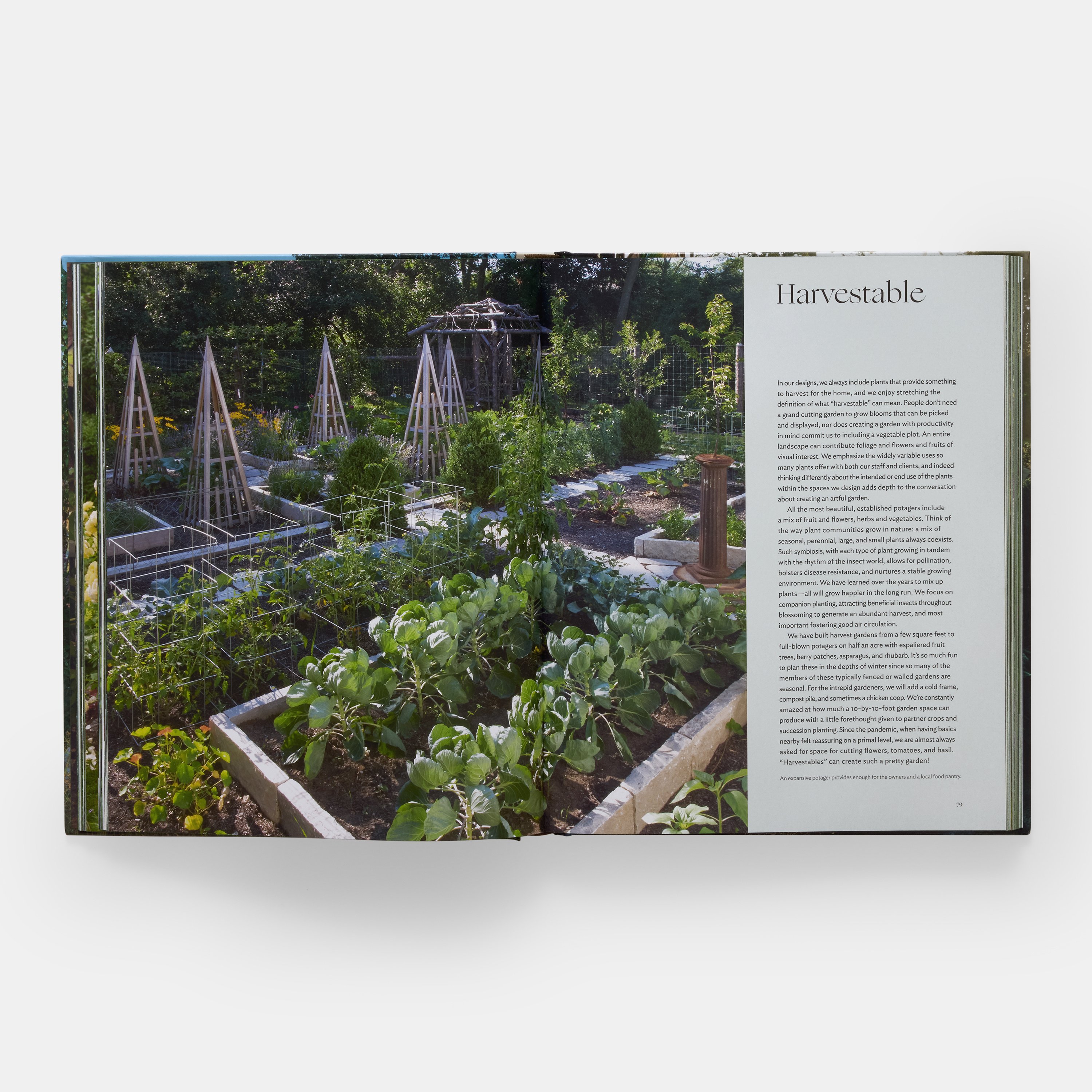 the-art-of-fine-gardening-ae-3691-pp78-79-3000