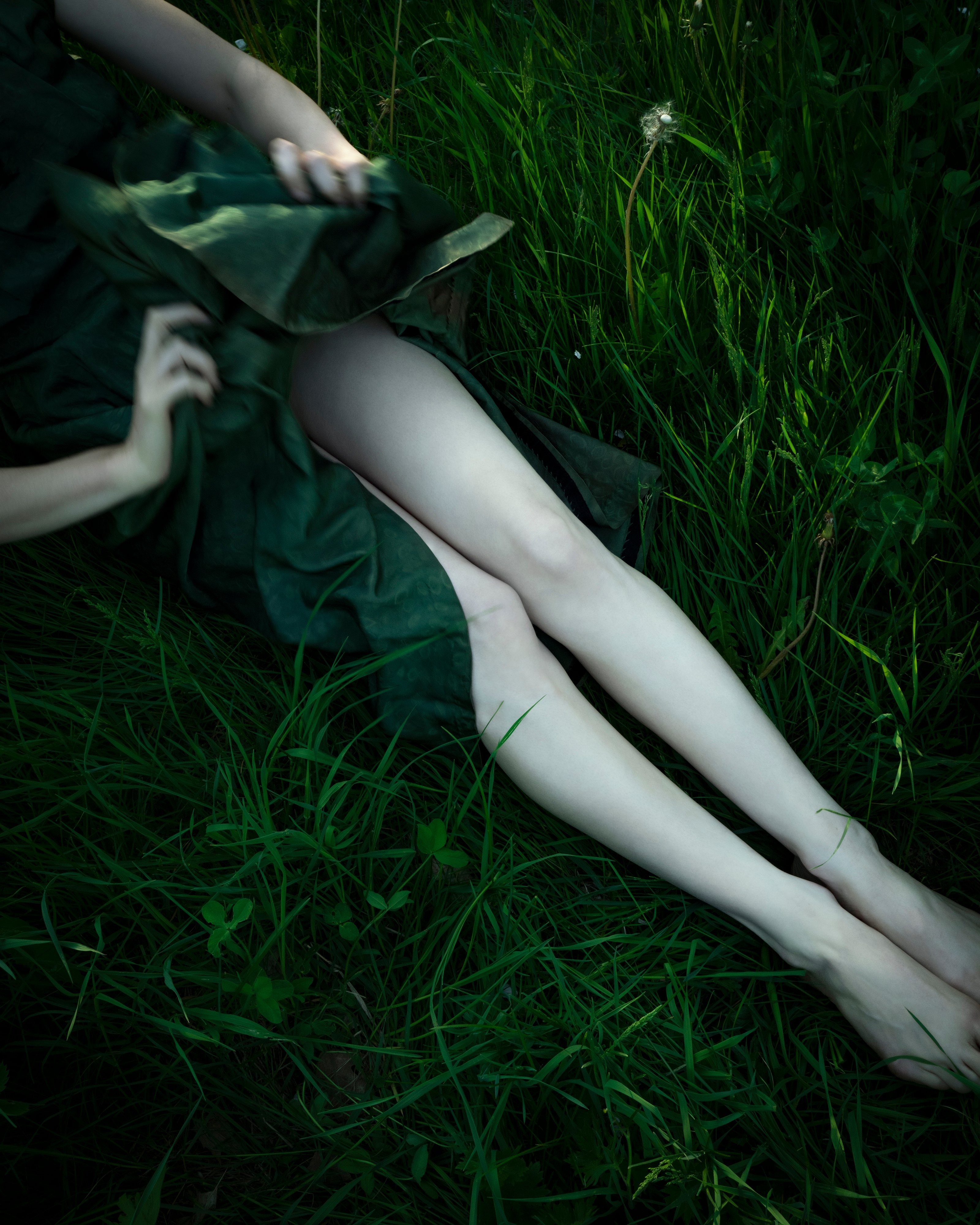 TheMeadowCigHarvey-1